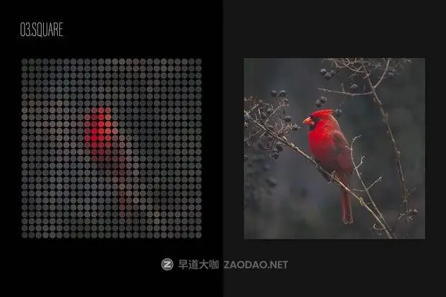 202411295k47b 202411295k47b