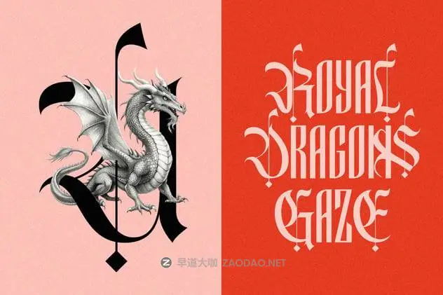 20241129f53q7 20241129f53q7