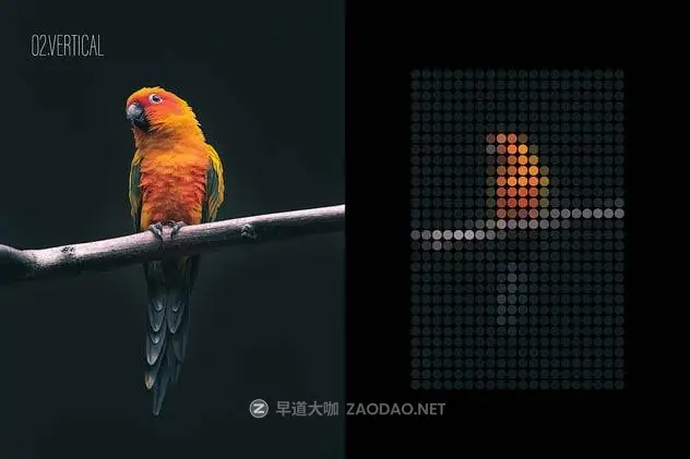 20241129g45cc 20241129g45cc