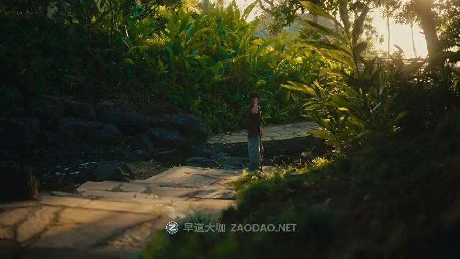 202411308f35i 202411308f35i