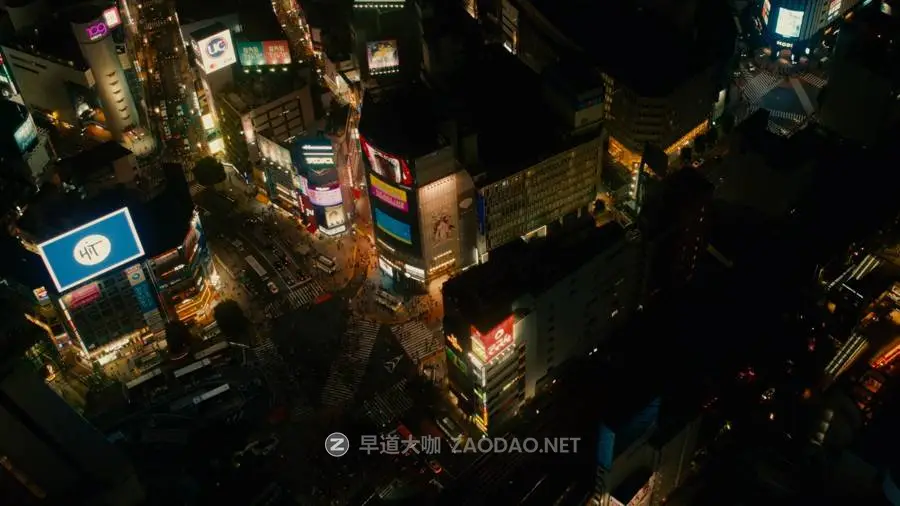 202411309n77u 202411309n77u