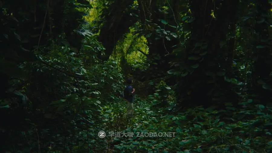 20241130sle3n 20241130sle3n