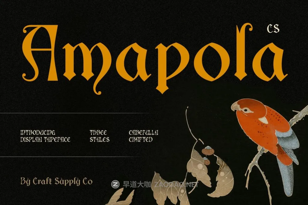 哥特式优雅复古品牌海报徽标设计装饰英文字体安装包 Amapola – Gothic Uncial Font插图 哥特式优雅复古品牌海报徽标设计装饰英文字体安装包 Amapola – Gothic Uncial Font插图