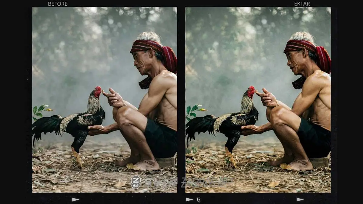高级Kodak Ektar胶片颗粒高饱和度模拟人文旅拍照片调色Lightroom&Capture One飞思预设 HelloPresets Kodak Ektar Lightroom Presets/ Capture One Styles插图2 高级Kodak Ektar胶片颗粒高饱和度模拟人文旅拍照片调色Lightroom&Capture One飞思预设 HelloPresets Kodak Ektar Lightroom Presets/ Capture One Styles插图2