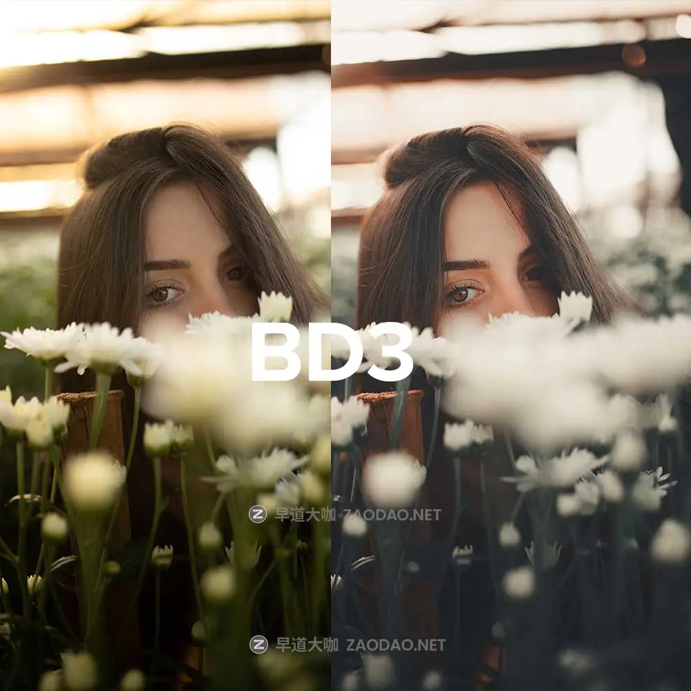 独家电影风格色彩鲜艳明亮人物肖像摄影照片调色Lightroom预设包 LUIZCLAS – BOLD COLLECTION插图3 独家电影风格色彩鲜艳明亮人物肖像摄影照片调色Lightroom预设包 LUIZCLAS – BOLD COLLECTION插图3