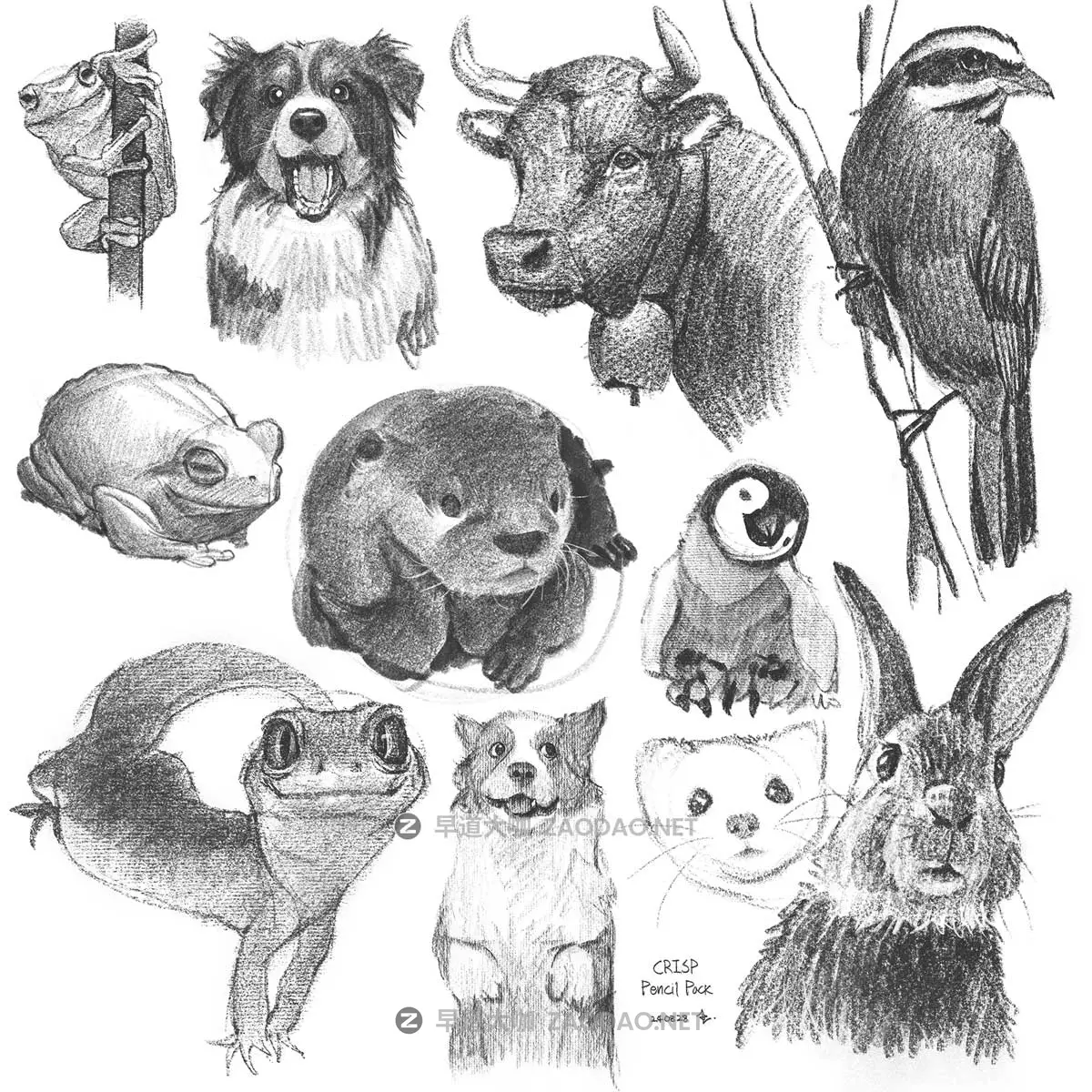 真实铅笔素描木炭笔线条绘画插画procreate笔刷画笔素材 CRISP Pencil Pack for Procreate插图4 真实铅笔素描木炭笔线条绘画插画procreate笔刷画笔素材 CRISP Pencil Pack for Procreate插图4