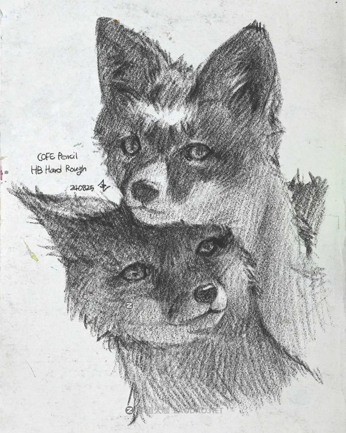 真实铅笔素描木炭笔线条绘画插画procreate笔刷画笔素材 CRISP Pencil Pack for Procreate插图6 真实铅笔素描木炭笔线条绘画插画procreate笔刷画笔素材 CRISP Pencil Pack for Procreate插图6