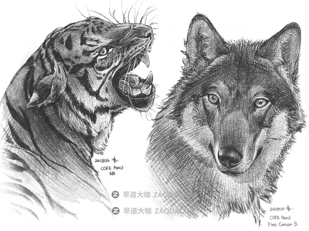 真实铅笔素描木炭笔线条绘画插画procreate笔刷画笔素材 CRISP Pencil Pack for Procreate插图21 真实铅笔素描木炭笔线条绘画插画procreate笔刷画笔素材 CRISP Pencil Pack for Procreate插图21