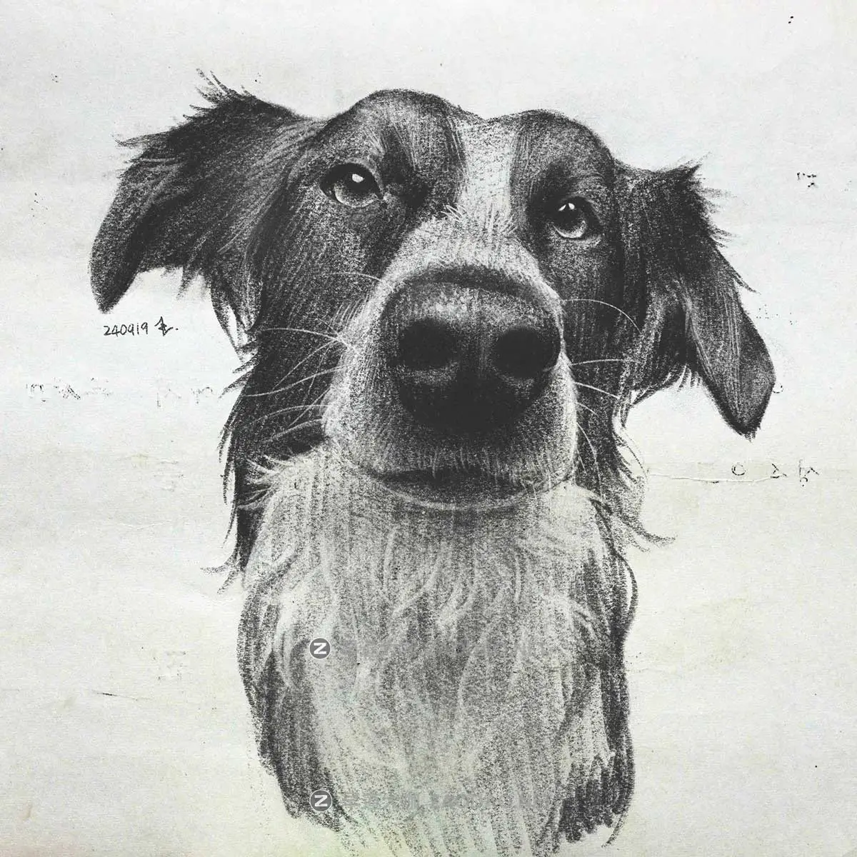 真实铅笔素描木炭笔线条绘画插画procreate笔刷画笔素材 CRISP Pencil Pack for Procreate插图22 真实铅笔素描木炭笔线条绘画插画procreate笔刷画笔素材 CRISP Pencil Pack for Procreate插图22