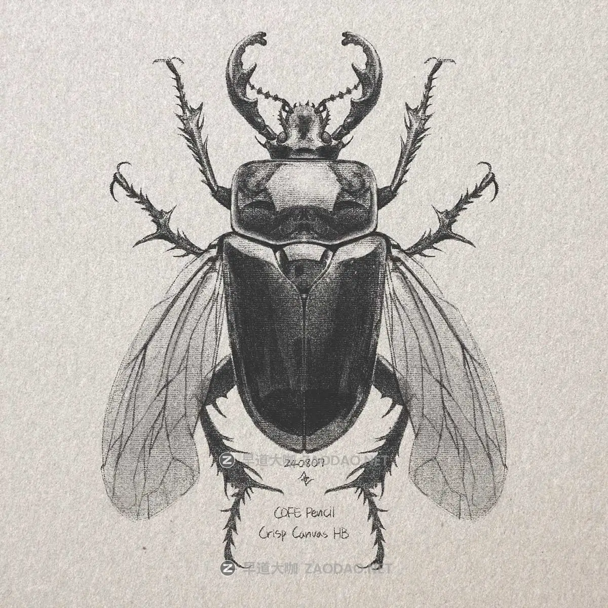 真实铅笔素描木炭笔线条绘画插画procreate笔刷画笔素材 CRISP Pencil Pack for Procreate插图23 真实铅笔素描木炭笔线条绘画插画procreate笔刷画笔素材 CRISP Pencil Pack for Procreate插图23