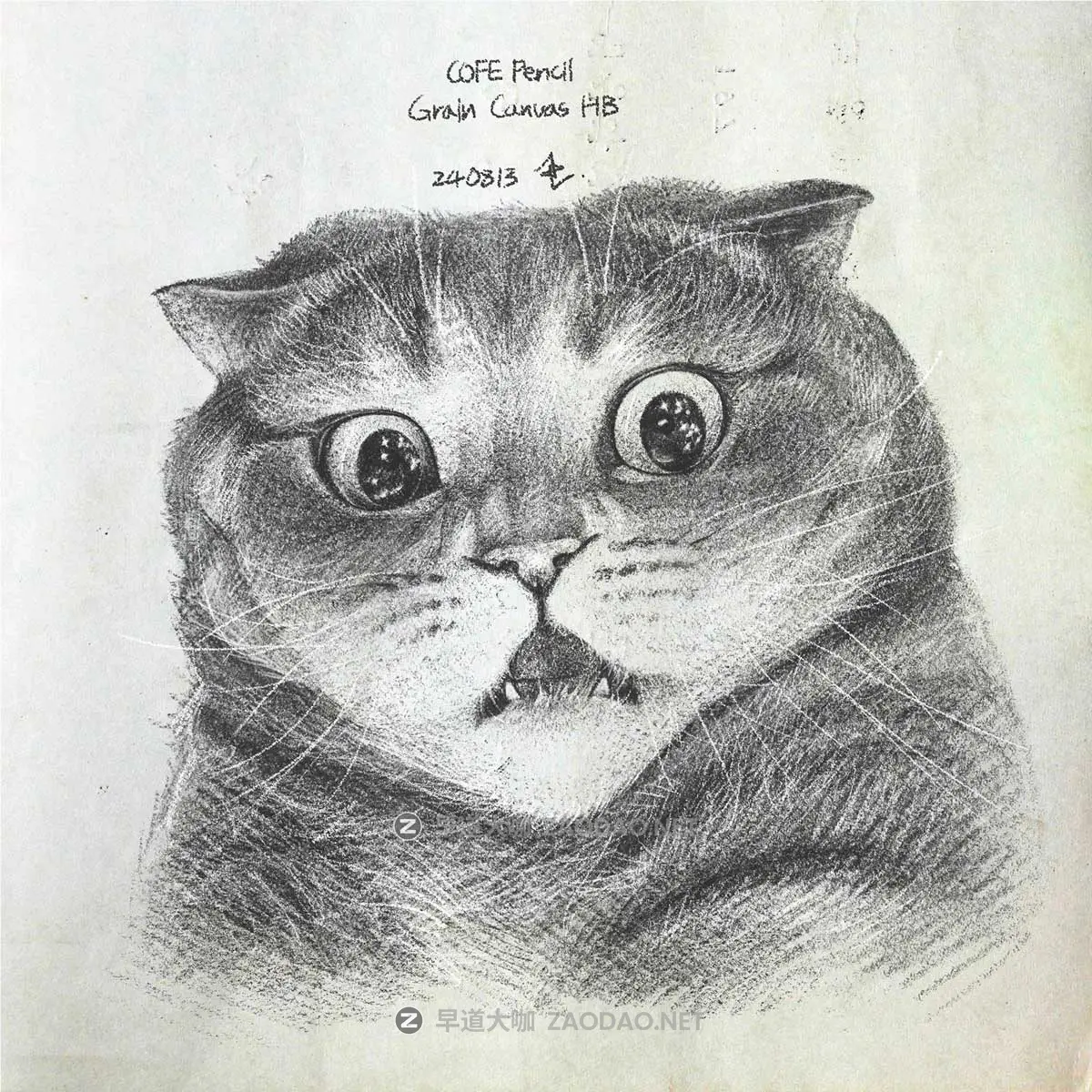 真实铅笔素描木炭笔线条绘画插画procreate笔刷画笔素材 CRISP Pencil Pack for Procreate插图10 真实铅笔素描木炭笔线条绘画插画procreate笔刷画笔素材 CRISP Pencil Pack for Procreate插图10