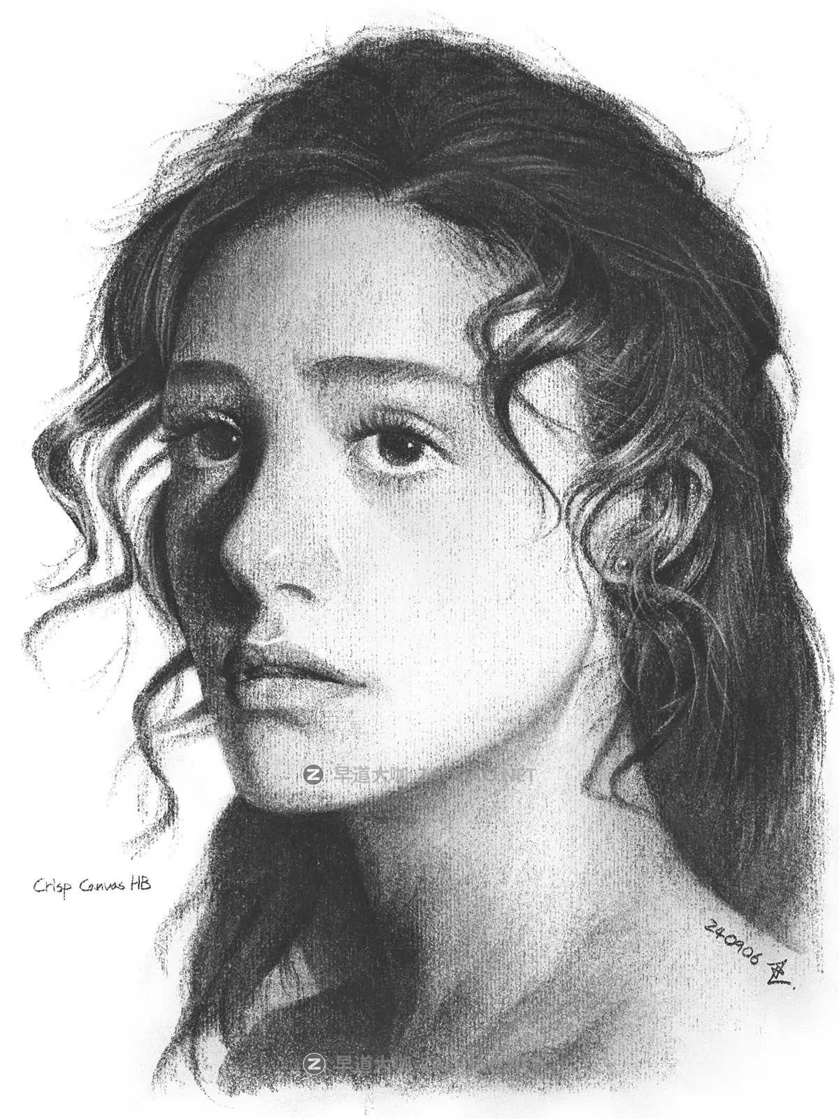 真实铅笔素描木炭笔线条绘画插画procreate笔刷画笔素材 CRISP Pencil Pack for Procreate插图11 真实铅笔素描木炭笔线条绘画插画procreate笔刷画笔素材 CRISP Pencil Pack for Procreate插图11