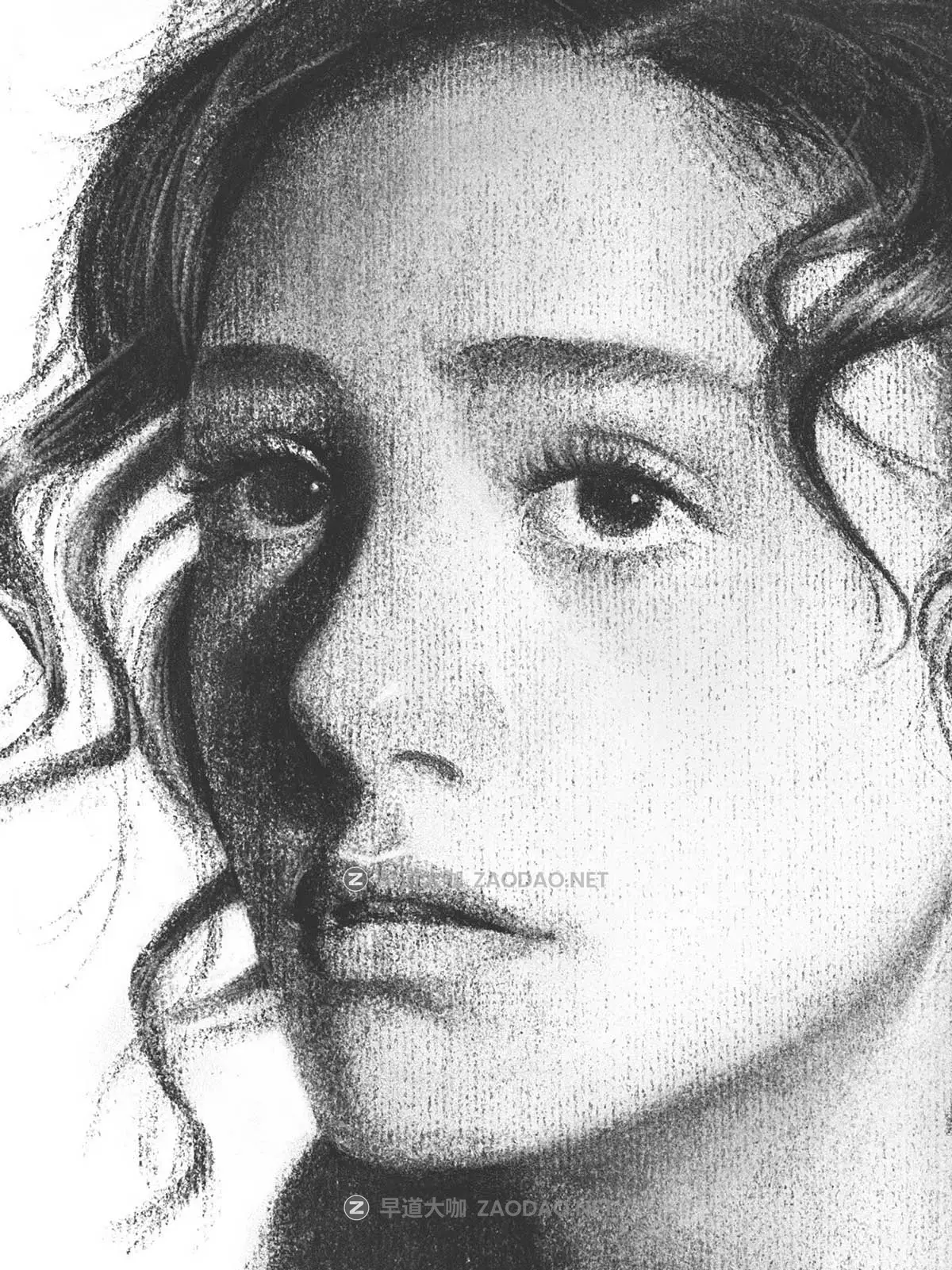 真实铅笔素描木炭笔线条绘画插画procreate笔刷画笔素材 CRISP Pencil Pack for Procreate插图12 真实铅笔素描木炭笔线条绘画插画procreate笔刷画笔素材 CRISP Pencil Pack for Procreate插图12