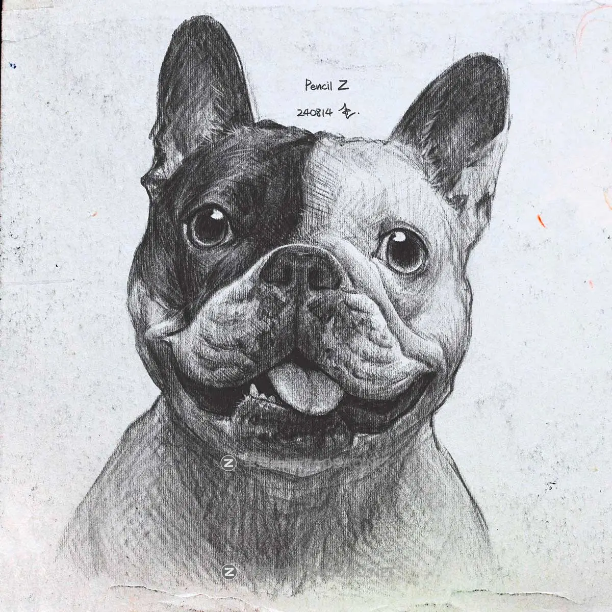 真实铅笔素描木炭笔线条绘画插画procreate笔刷画笔素材 CRISP Pencil Pack for Procreate插图14 真实铅笔素描木炭笔线条绘画插画procreate笔刷画笔素材 CRISP Pencil Pack for Procreate插图14