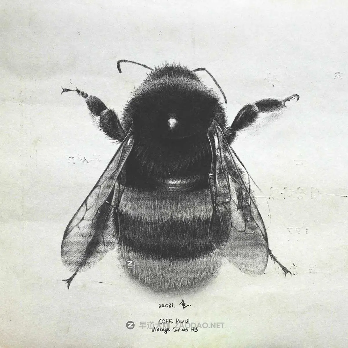 真实铅笔素描木炭笔线条绘画插画procreate笔刷画笔素材 CRISP Pencil Pack for Procreate插图15 真实铅笔素描木炭笔线条绘画插画procreate笔刷画笔素材 CRISP Pencil Pack for Procreate插图15