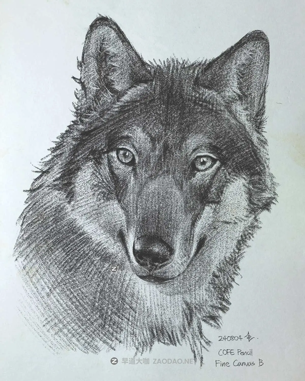 真实铅笔素描木炭笔线条绘画插画procreate笔刷画笔素材 CRISP Pencil Pack for Procreate插图16 真实铅笔素描木炭笔线条绘画插画procreate笔刷画笔素材 CRISP Pencil Pack for Procreate插图16