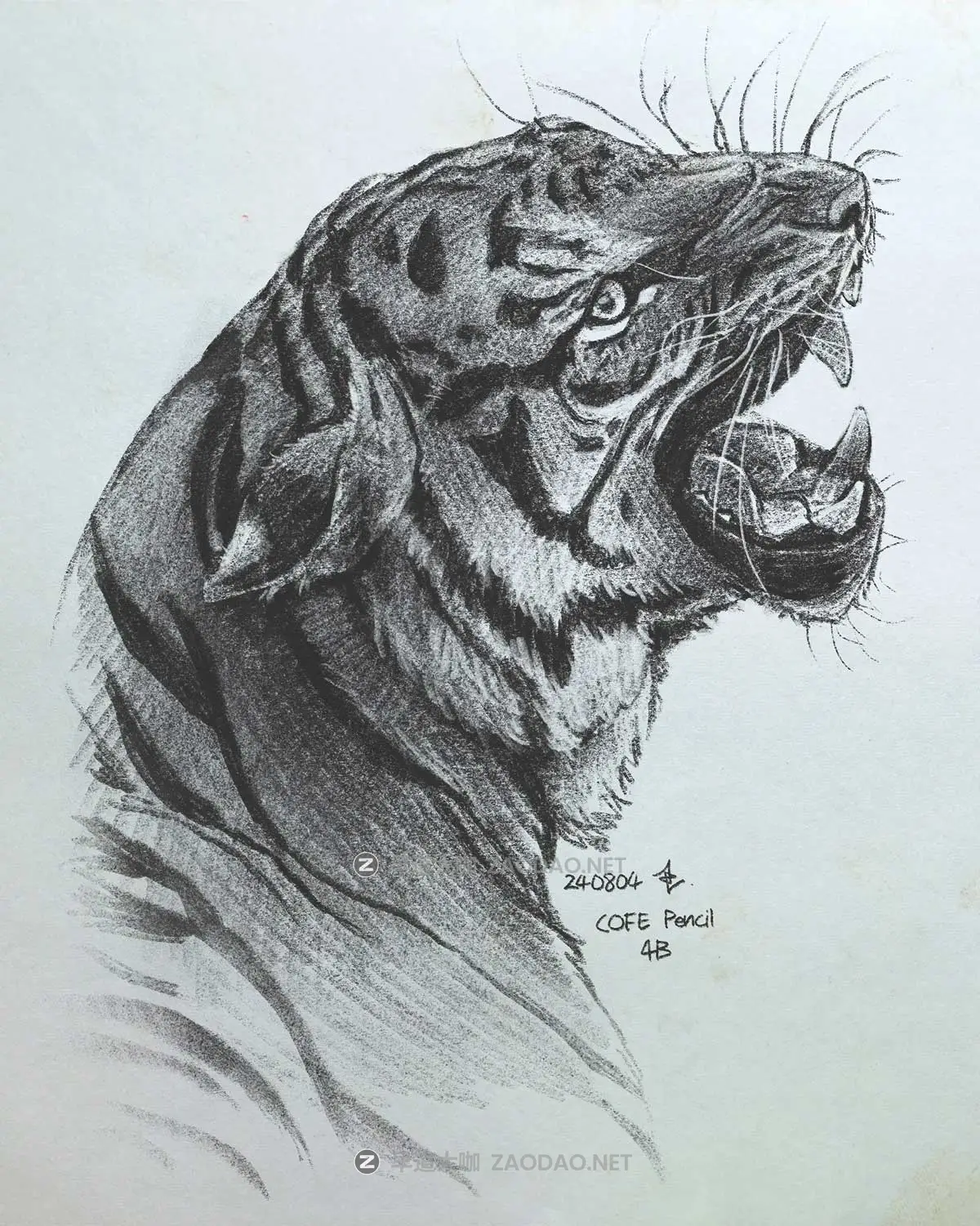 真实铅笔素描木炭笔线条绘画插画procreate笔刷画笔素材 CRISP Pencil Pack for Procreate插图17 真实铅笔素描木炭笔线条绘画插画procreate笔刷画笔素材 CRISP Pencil Pack for Procreate插图17