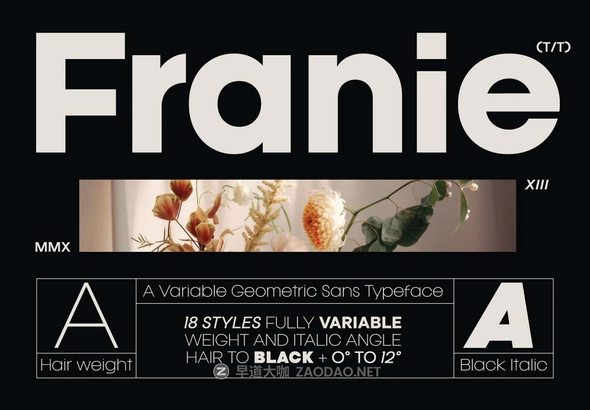 现代高级精美潮流几何风格无衬线时尚PSAI西文英文字体安装包 Franie Geometric Sans Family插图 现代高级精美潮流几何风格无衬线时尚PSAI西文英文字体安装包 Franie Geometric Sans Family插图