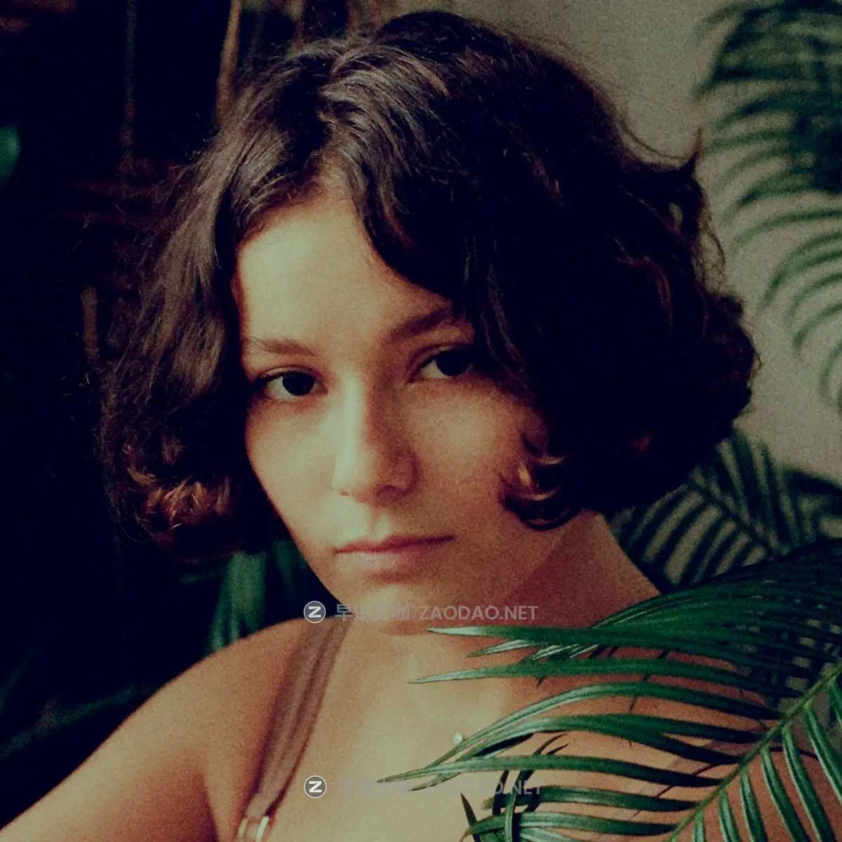 复古怀旧电影质感富士Eterna 500胶片仿真模拟颗粒效果视频调色LUT预设 Analogica Lab – FujiFilm ETERNA 500插图2 复古怀旧电影质感富士Eterna 500胶片仿真模拟颗粒效果视频调色LUT预设 Analogica Lab – FujiFilm ETERNA 500插图2