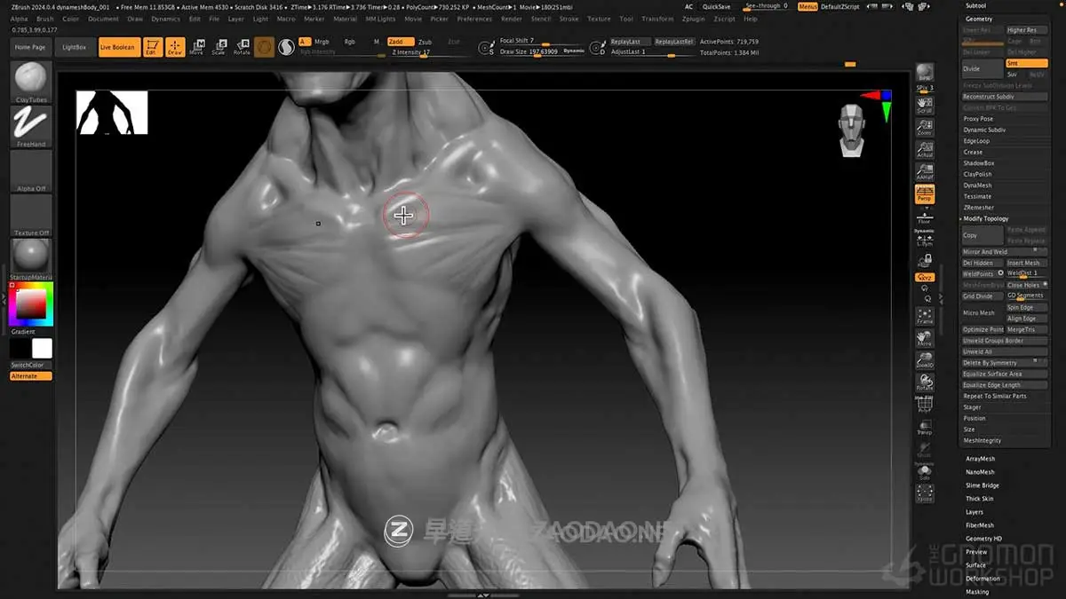 ZBrush三维模型建模雕刻渲染新手入门基础教程视频教程 中英文字幕 TGW – Introduction to ZBrush 2024插图4 ZBrush三维模型建模雕刻渲染新手入门基础教程视频教程 中英文字幕 TGW – Introduction to ZBrush 2024插图4