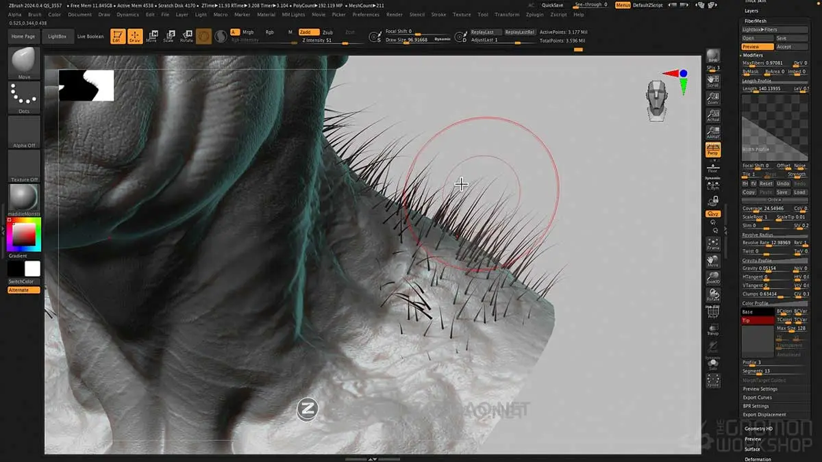 ZBrush三维模型建模雕刻渲染新手入门基础教程视频教程 中英文字幕 TGW – Introduction to ZBrush 2024插图8 ZBrush三维模型建模雕刻渲染新手入门基础教程视频教程 中英文字幕 TGW – Introduction to ZBrush 2024插图8