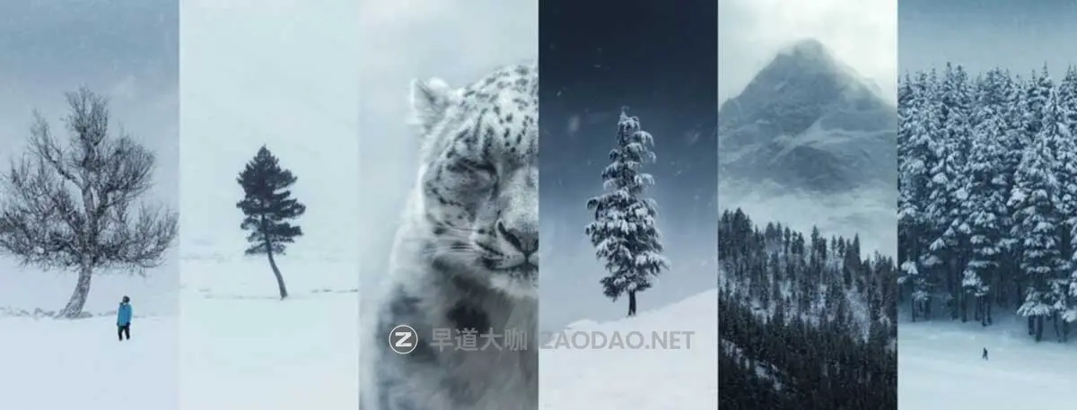 初级到高级专业旅行摄影拍摄照片后期修图综合课程视频教程 中文字幕 KHUMAIS IDREES – Editing Masterclass插图1 初级到高级专业旅行摄影拍摄照片后期修图综合课程视频教程 中文字幕 KHUMAIS IDREES – Editing Masterclass插图1