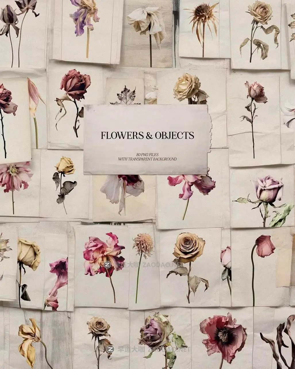 复古花朵花卉褶皱折痕破损纸张物品拼贴艺术海报设计PNG免抠图片素材 Life-Inspired – Mixed Media Collection插图4 复古花朵花卉褶皱折痕破损纸张物品拼贴艺术海报设计PNG免抠图片素材 Life-Inspired – Mixed Media Collection插图4