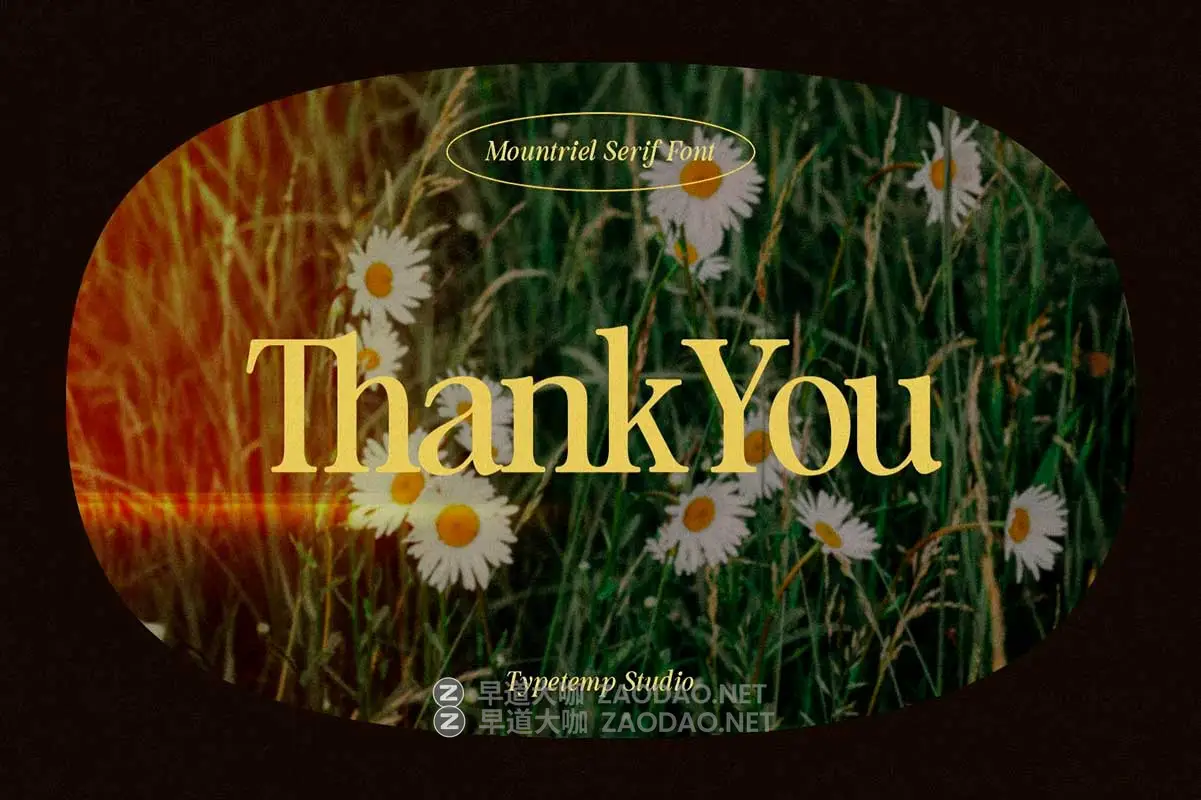 90年代复古永恒欧风杂志海报标题LOGO设计PSAI衬线英文字体素材 Mountriel — Classic Serif Font插图20 90年代复古永恒欧风杂志海报标题LOGO设计PSAI衬线英文字体素材 Mountriel — Classic Serif Font插图20