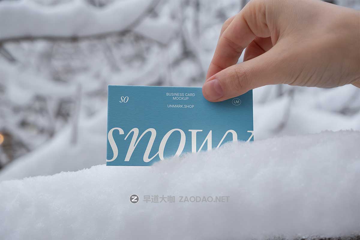 7款雪地雪景场景名片帆布袋毛线帽子包装盒VI展示PS贴图样机模板 So Snowy Collection插图1