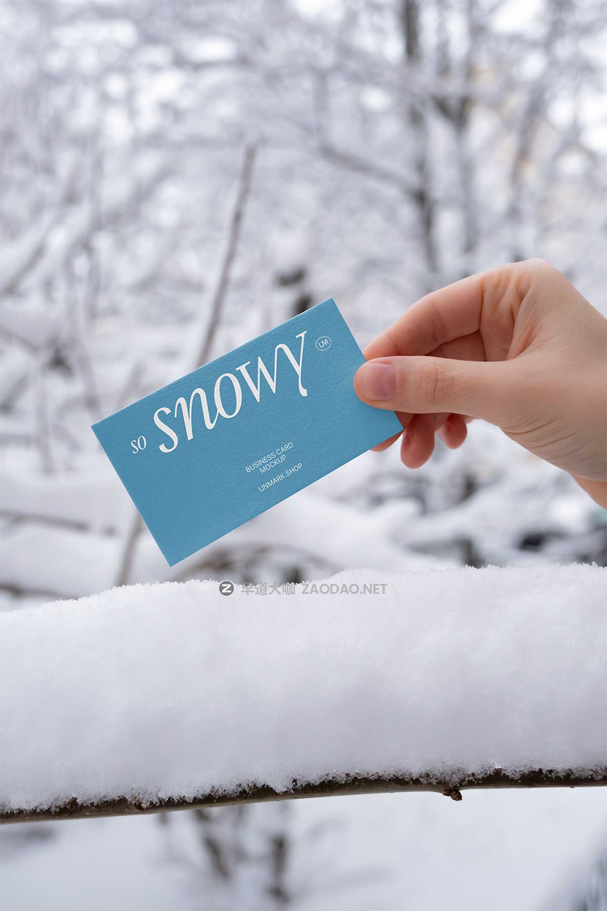 7款雪地雪景场景名片帆布袋毛线帽子包装盒VI展示PS贴图样机模板 So Snowy Collection插图2