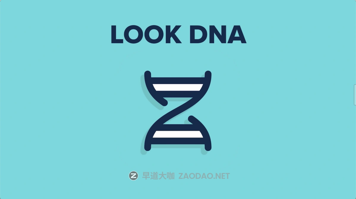 20241202qrdhe 20241202qrdhe