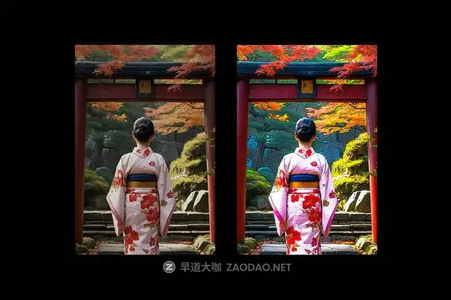 20241203rf5py 20241203rf5py