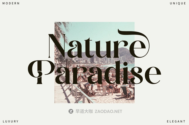 202412057m446 202412057m446