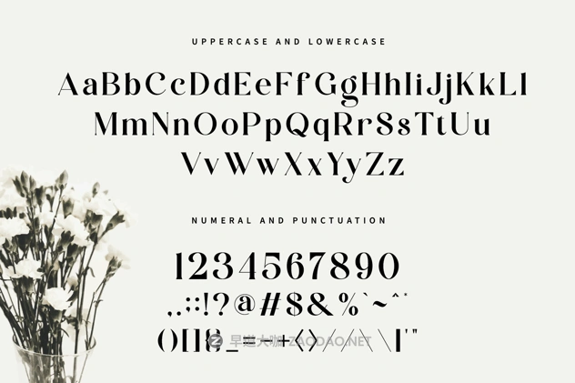 20241205nl9qb 20241205nl9qb