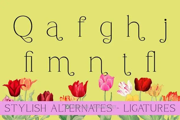 202412061kqmb 202412061kqmb