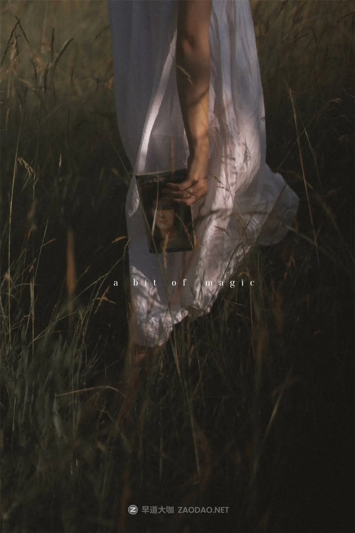 20241206503vo 20241206503vo