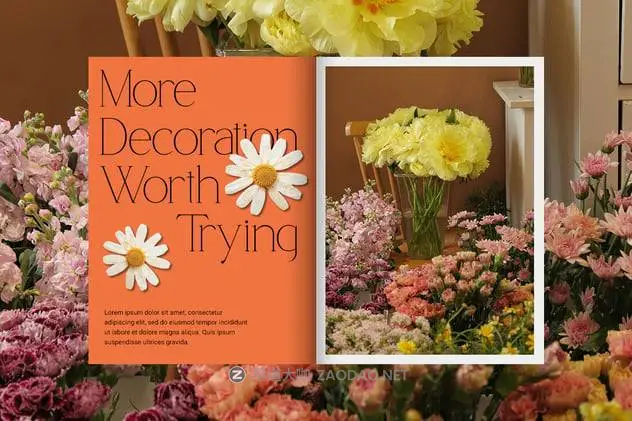 20241206ipvjj 20241206ipvjj