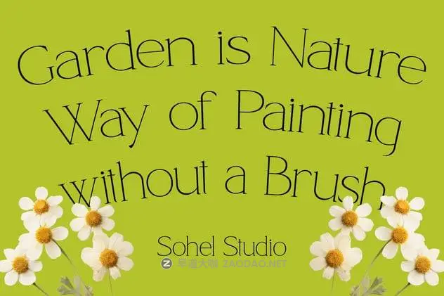 20241206q66w3 20241206q66w3