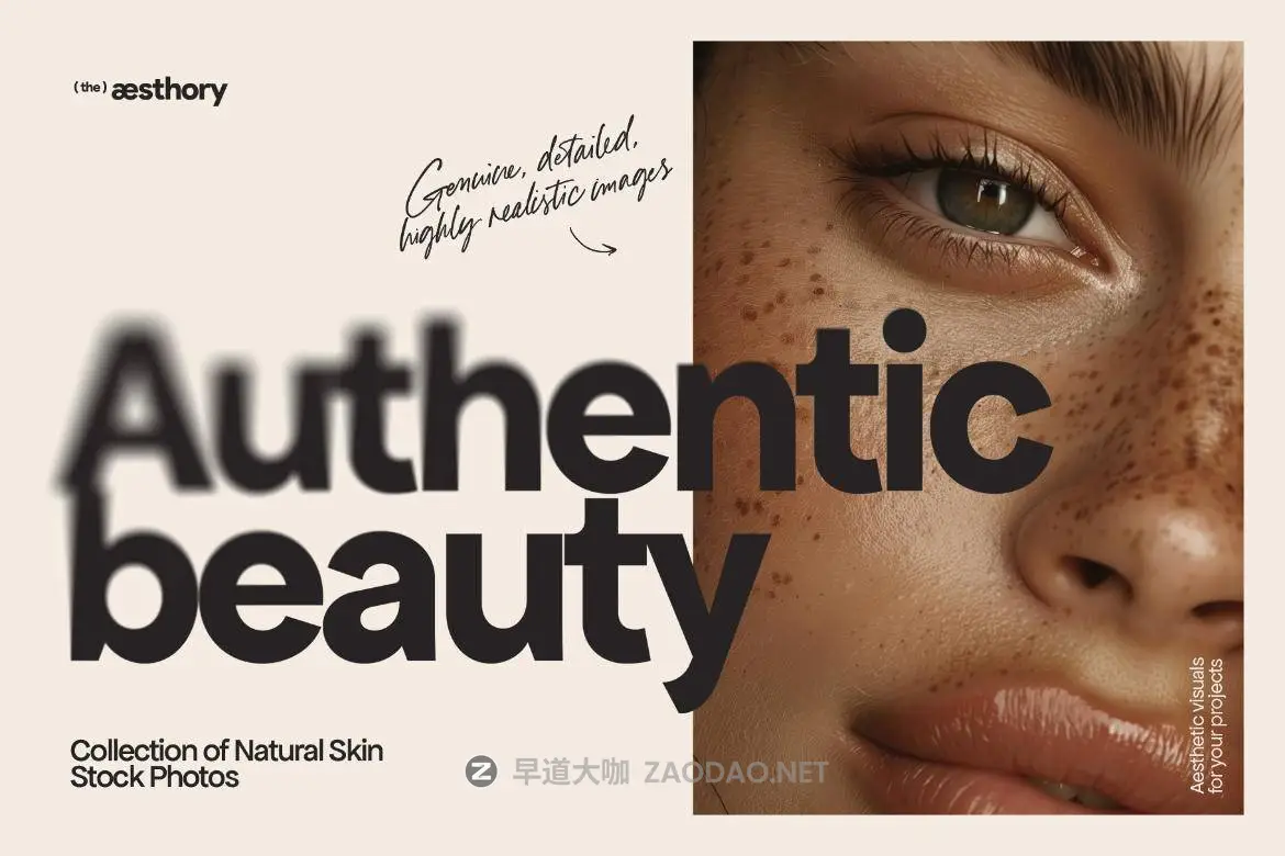 20241209y8dvb 20241209y8dvb