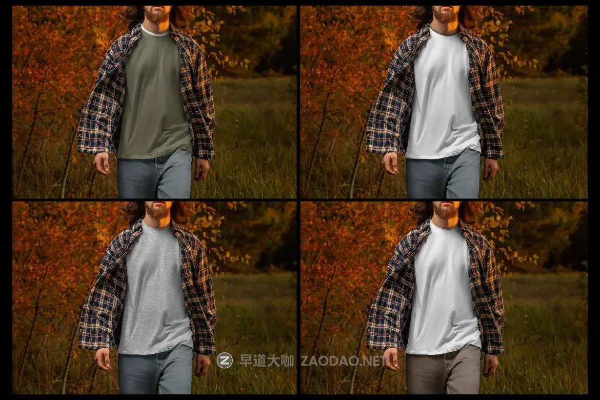 202412101hzsz 202412101hzsz