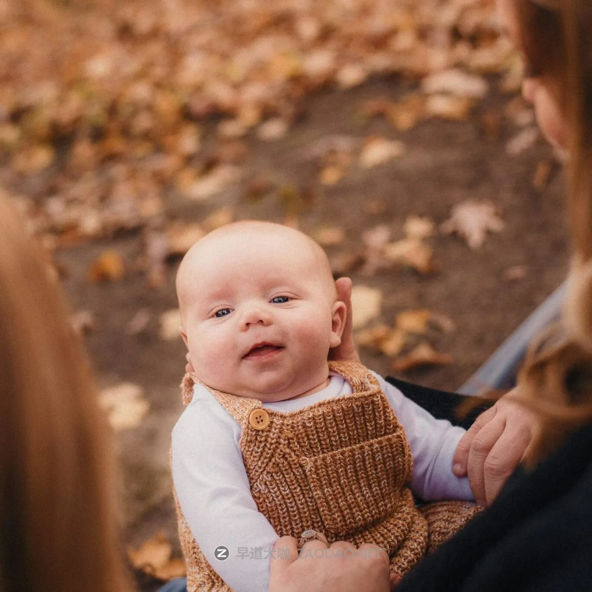 202412123qqtz 202412123qqtz