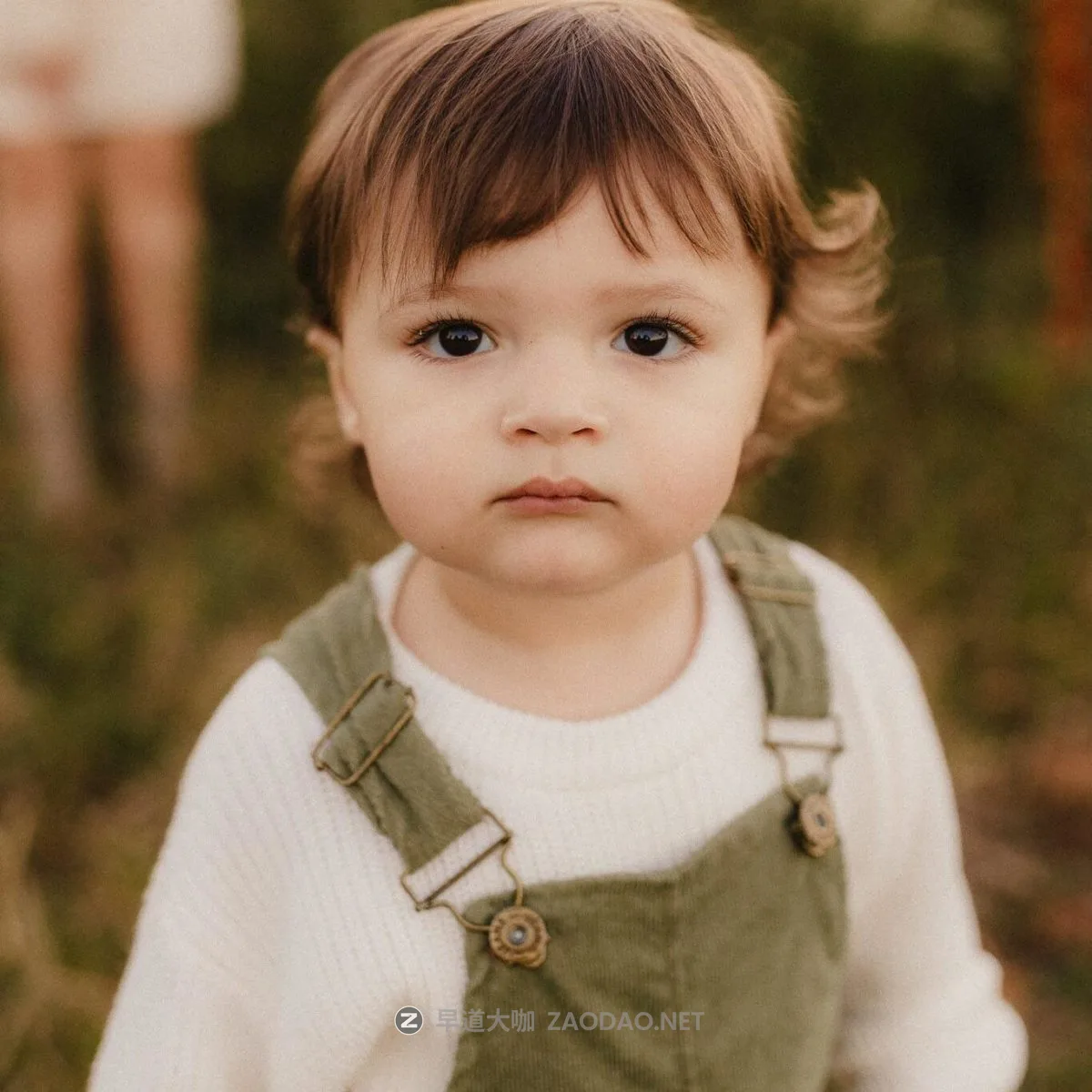 202412128388j 202412128388j