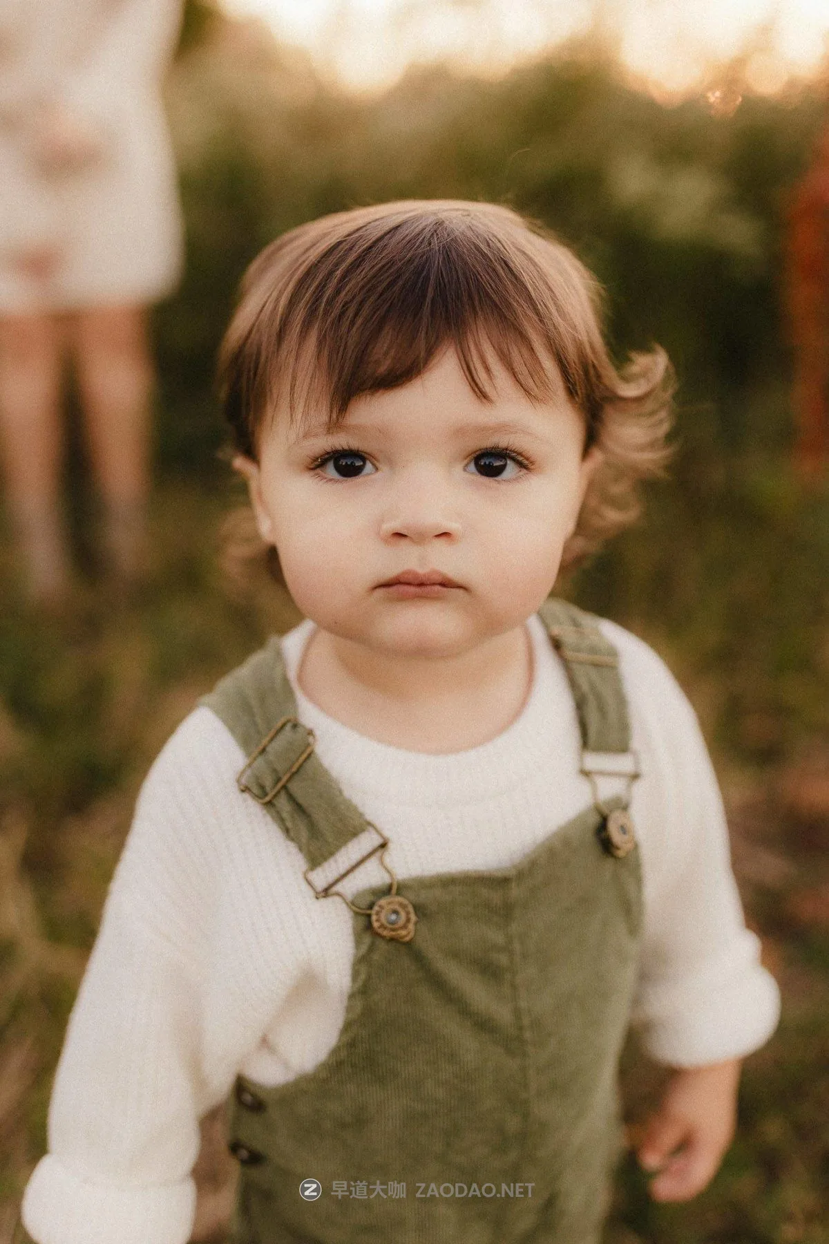 20241212anl00 20241212anl00