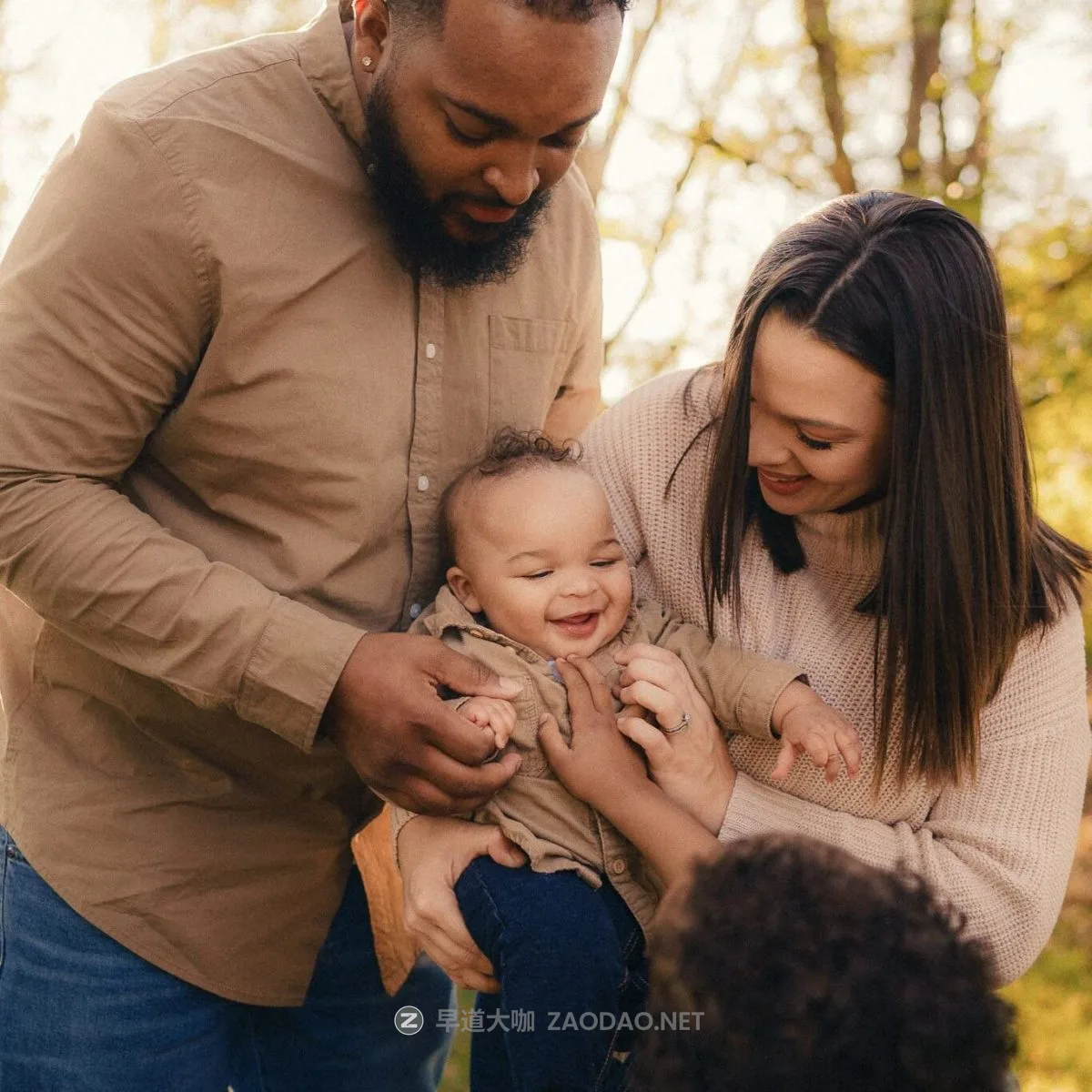 20241212mp5a6 20241212mp5a6