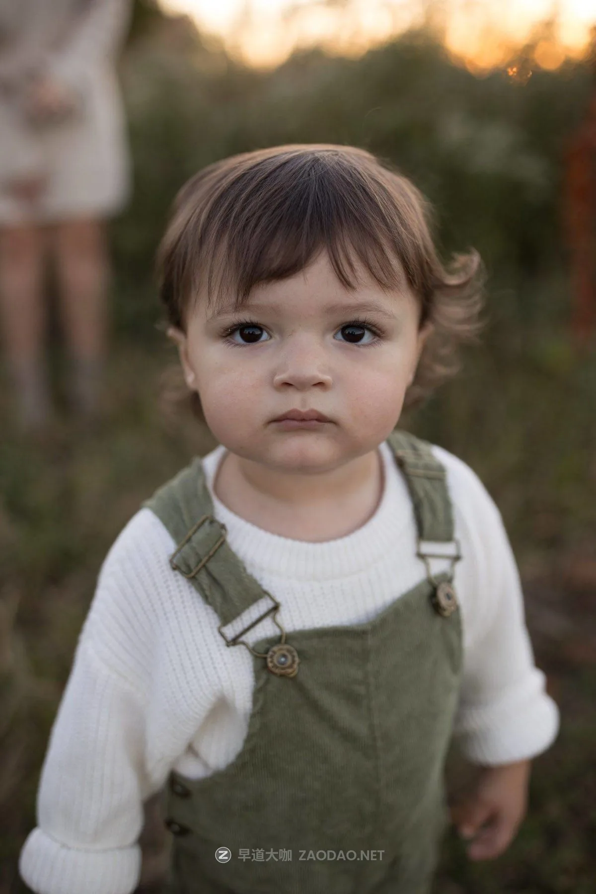 20241212tkn8n 20241212tkn8n