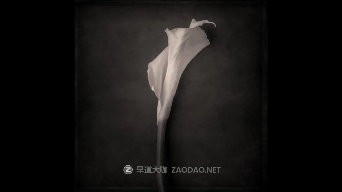 20241215b6se9 20241215b6se9