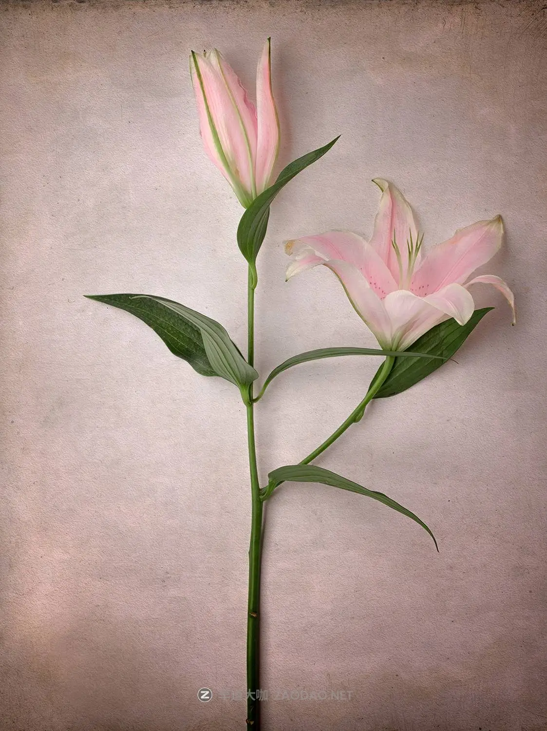 20241215hn8sk 20241215hn8sk