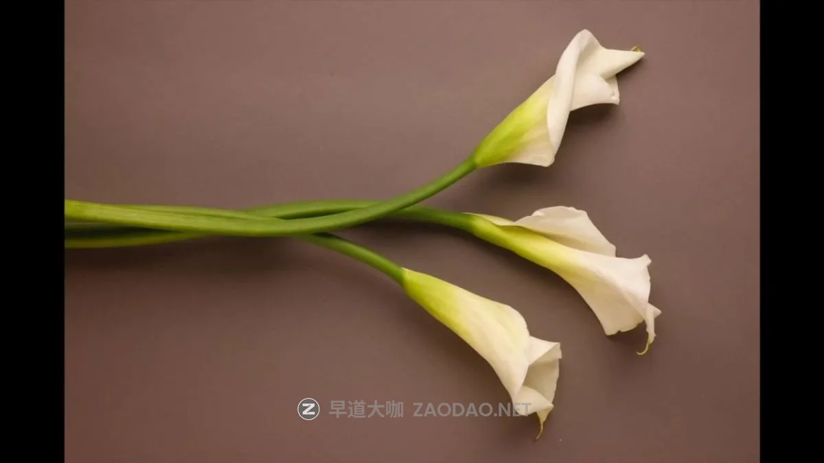 20241215lzjqc 20241215lzjqc