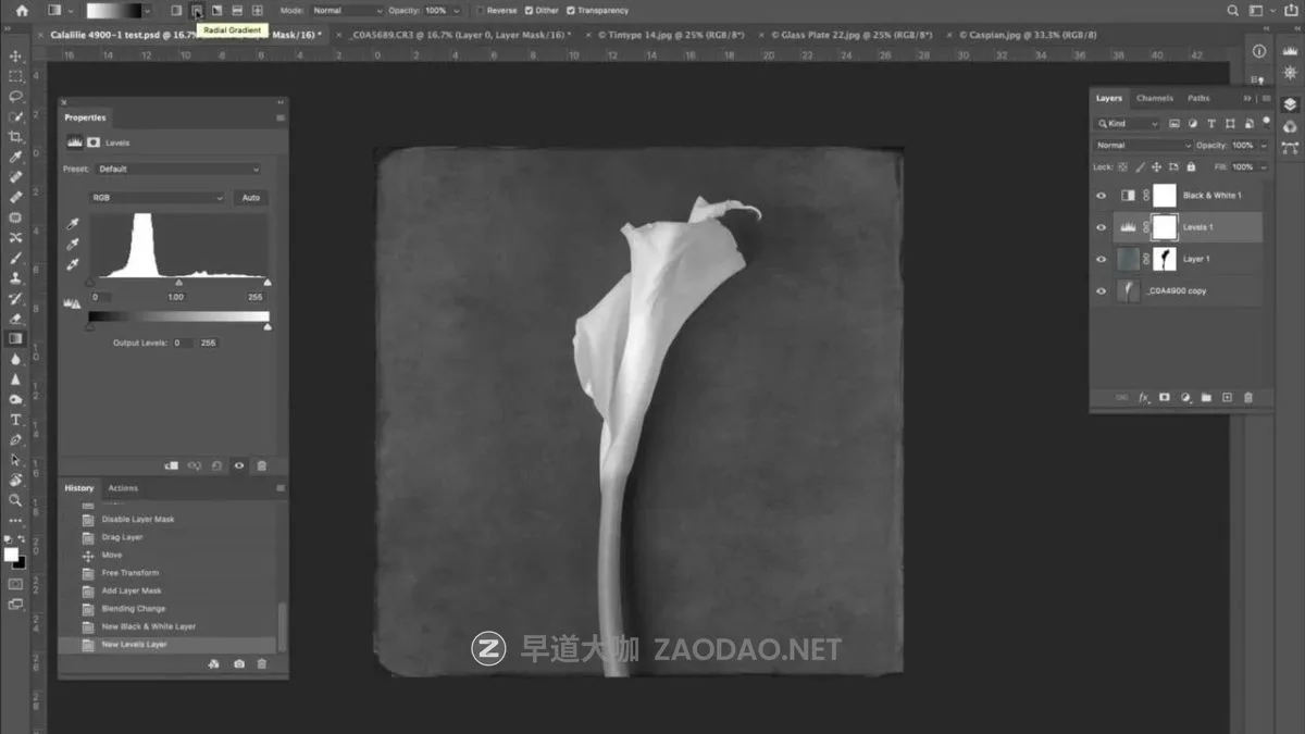 20241215z6d0v 20241215z6d0v