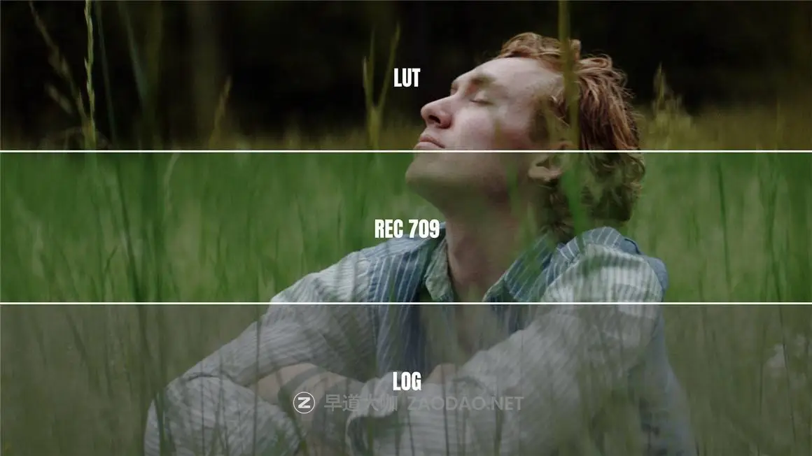 20241216ge3al 20241216ge3al